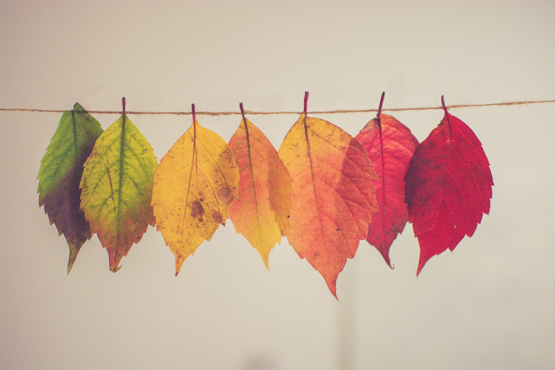 change