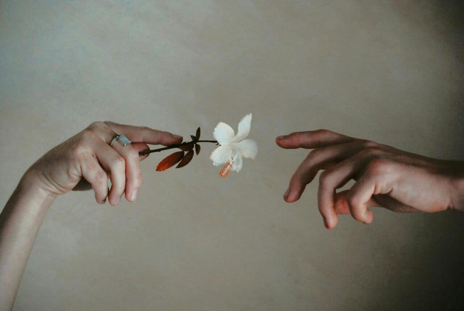 hsp