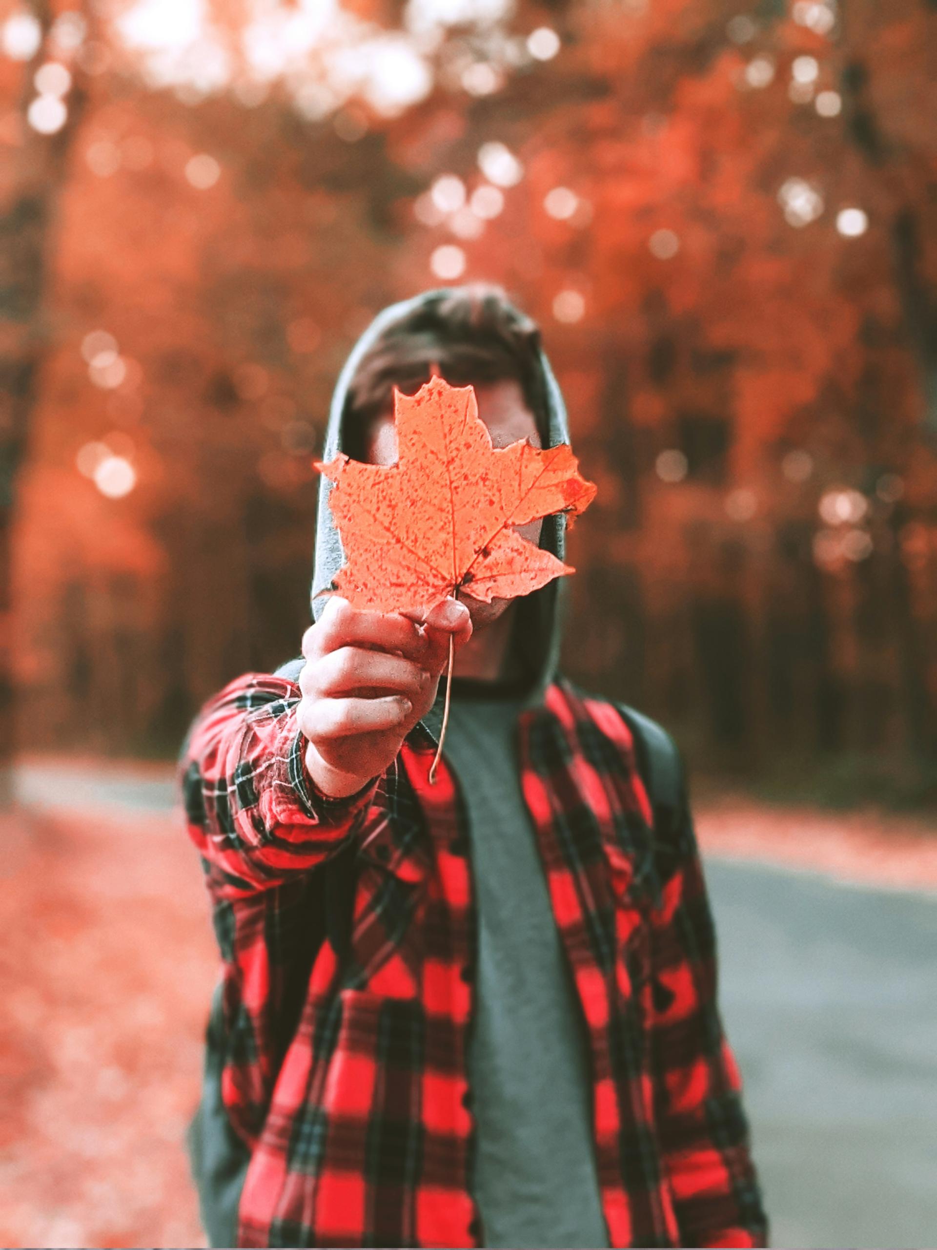 fall